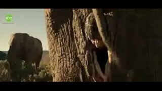 Porno elephant